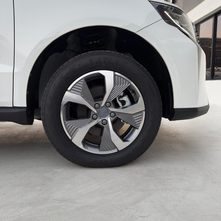 LIVAN X6 RPO Luxury 1.5T A/T PTR 2024