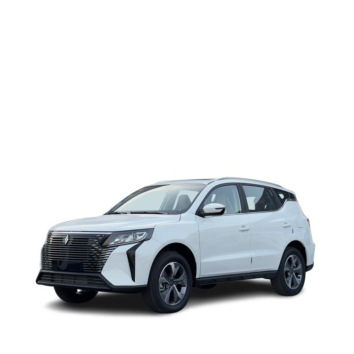 LIVAN X6 RPO Luxury 1.5T A/T PTR 2024